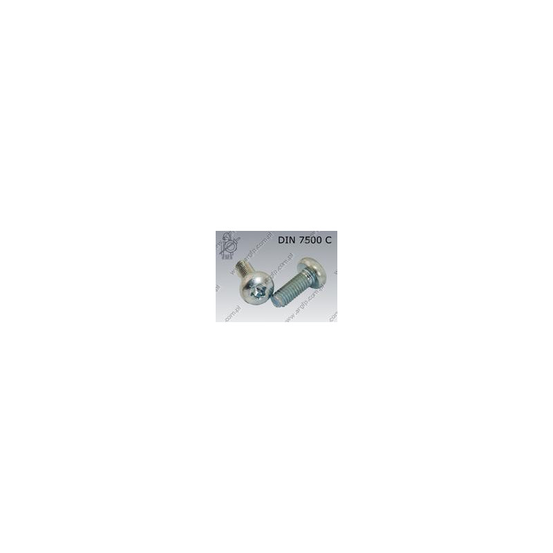 Wkr. samoformuj. Tx M 6×10 oc.B DIN 7500 PE