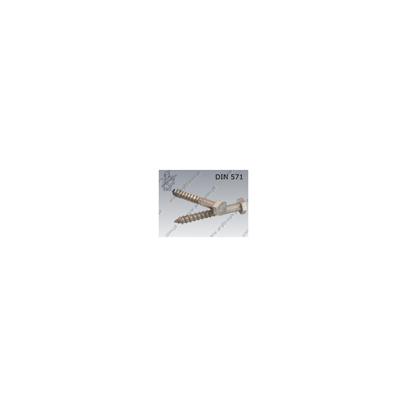 Wkręt do drewna 6-kt 8×60-A2 DIN 571